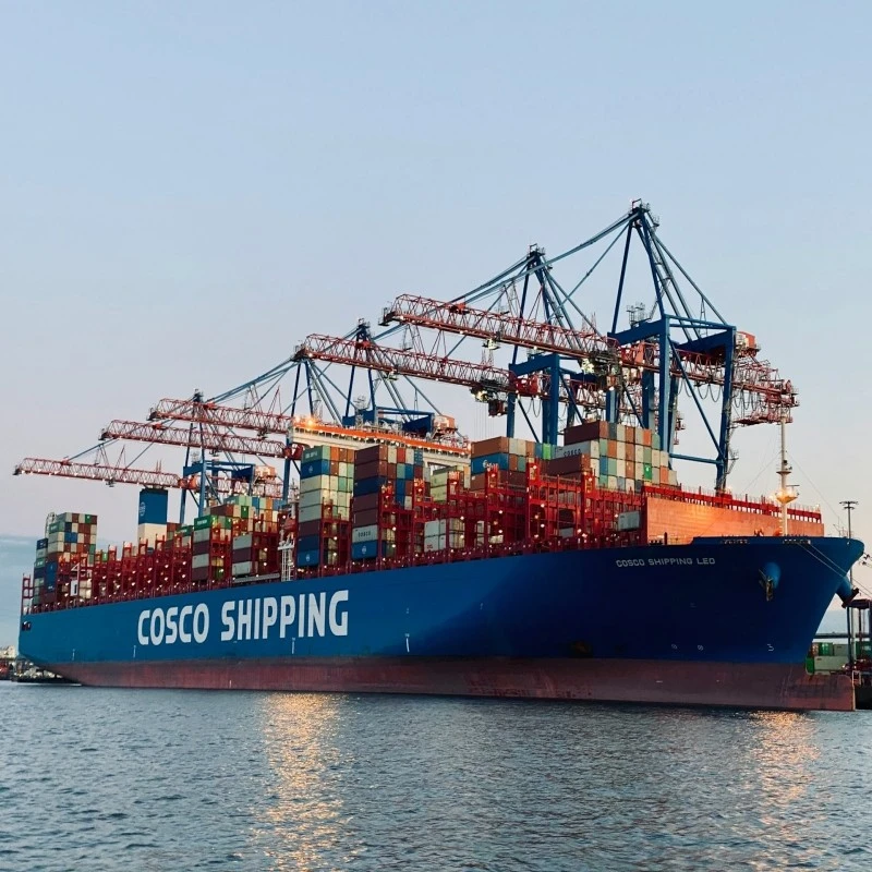 Evergreen OOCL COSCO Sea Freight Evergreen OOCL COSCO Sea Freight